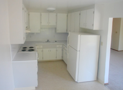 Kitchen and living room