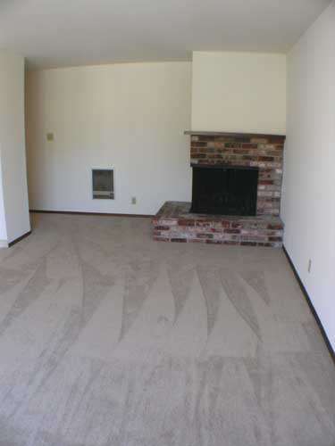 Living room with fireplace