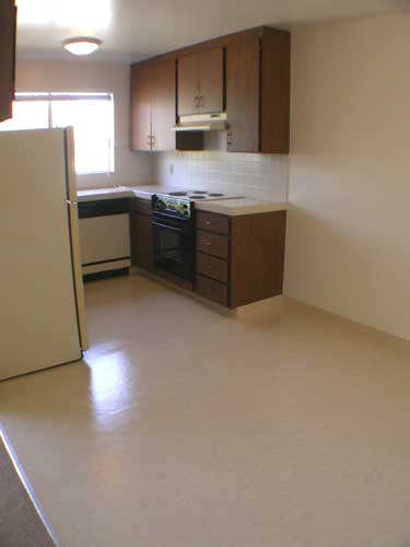 Kitchen and dining area
