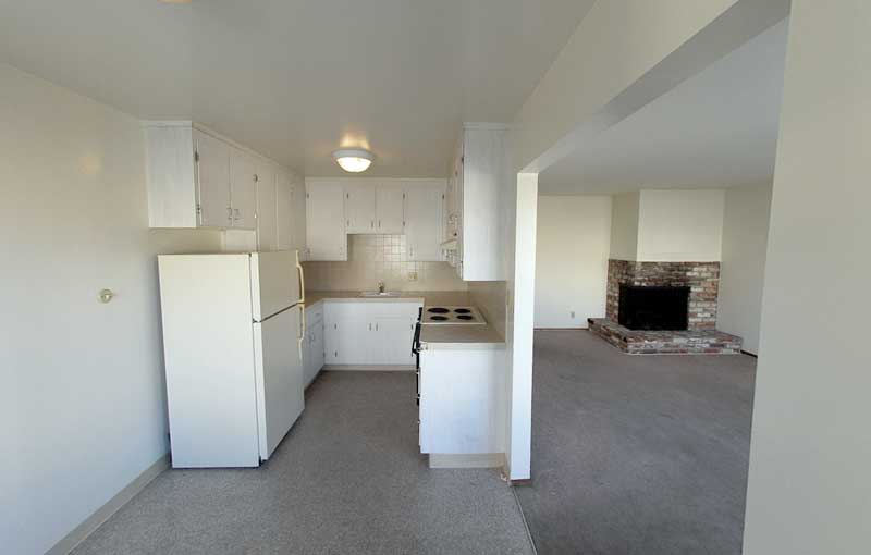 Kitchen, fireplace and living room