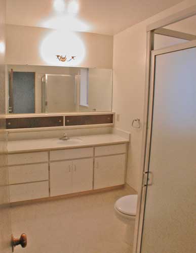 Master bathroom